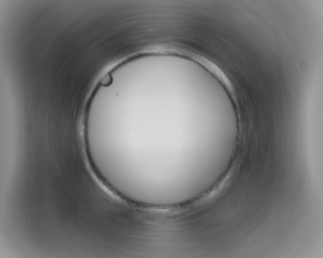 X0000114210855200910091027