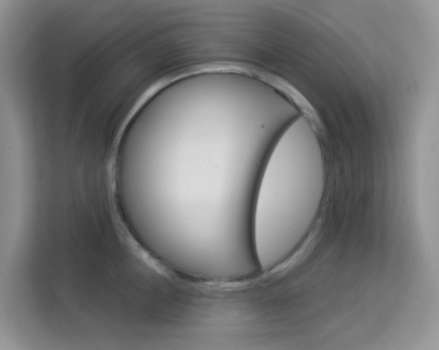 X0000114210860200910091027