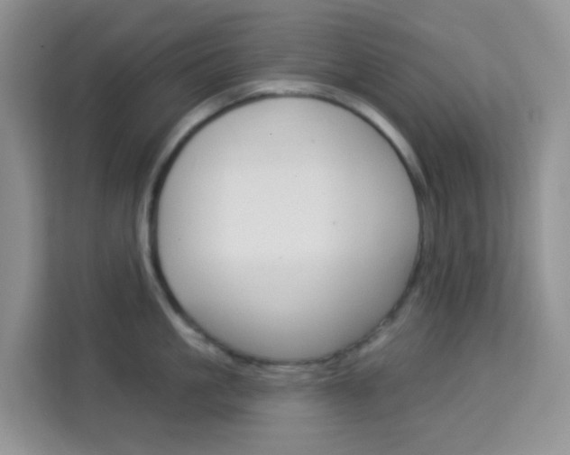 X0000114210861200910091027