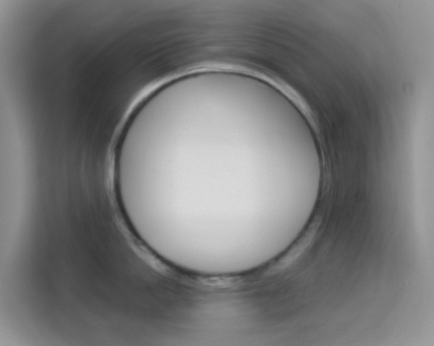X0000114210862200910091027