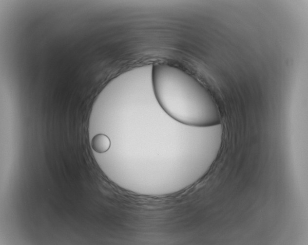 X0000114210868200910091027