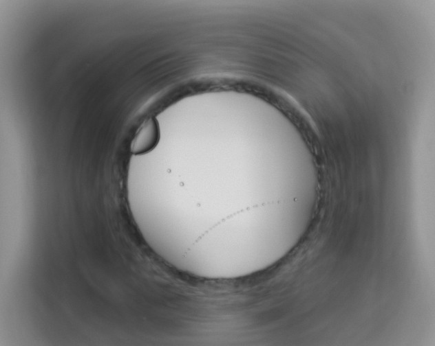 X0000114210871200910091027