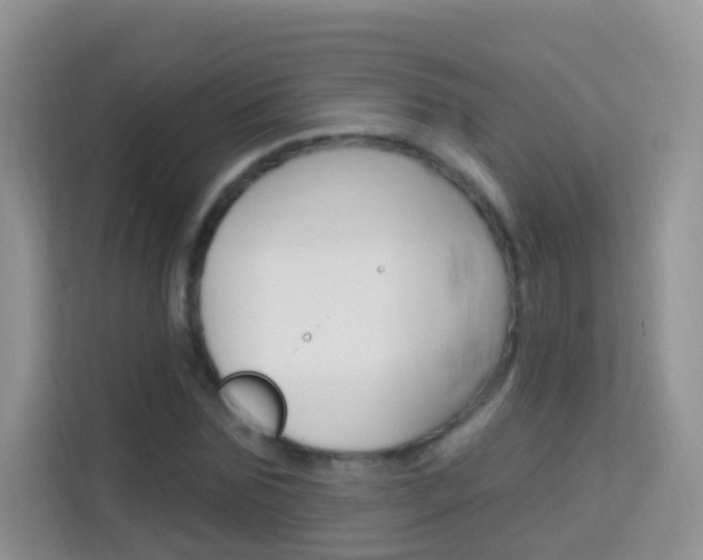 X0000114210875200910091027