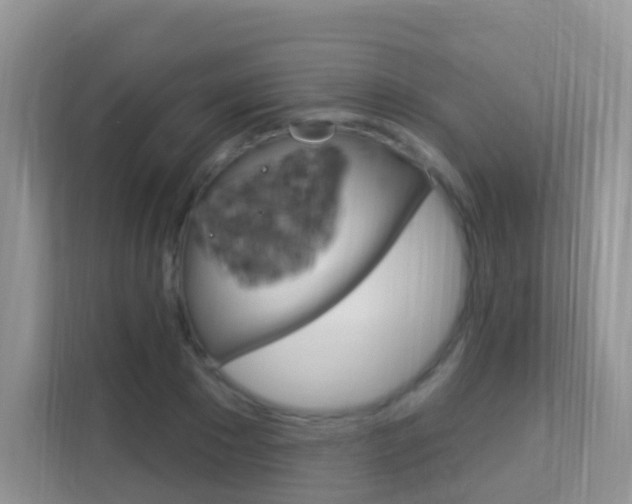 X0000114210881200910091026