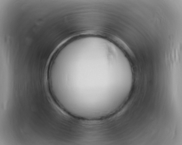 X0000114210884200910091026