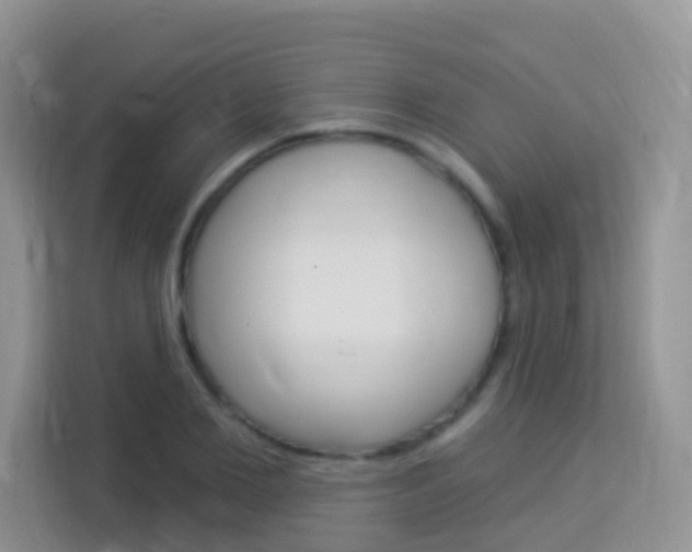 X0000114210885200910091026
