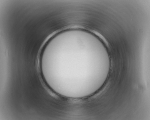 X0000114210886200910091026