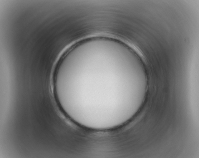 X0000114210888200910091026