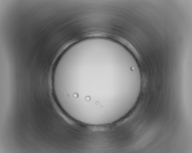 X0000114210890200910091026