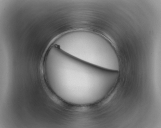 X0000114210891200910091026