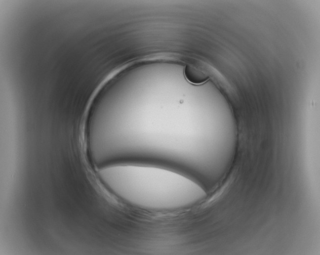 X0000114210892200910091026