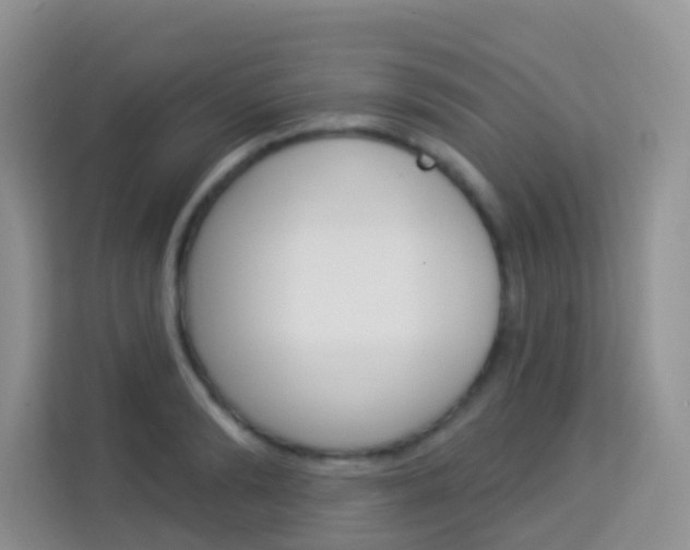 X0000114210894200910091026