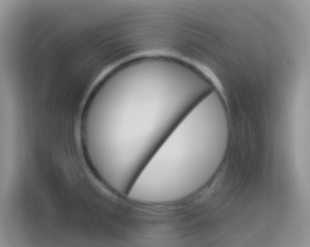 X0000114210895200910091026