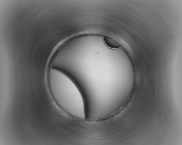 X0000114210896200910091026