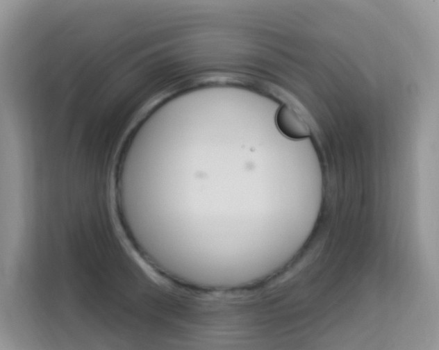 X0000114210898200910091026