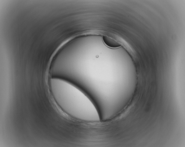 X0000114210900200910091026