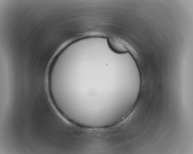 X0000114210902200910091026