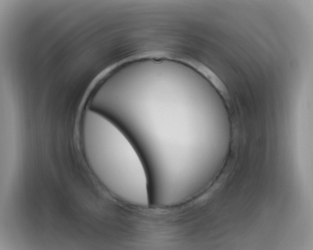 X0000114210904200910091026