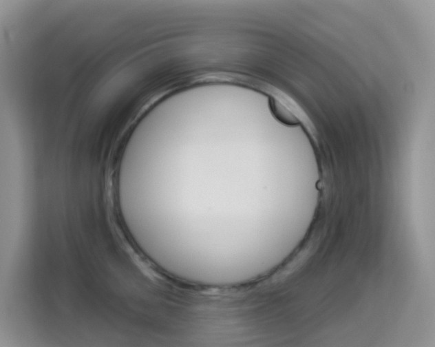 X0000114210906200910091026