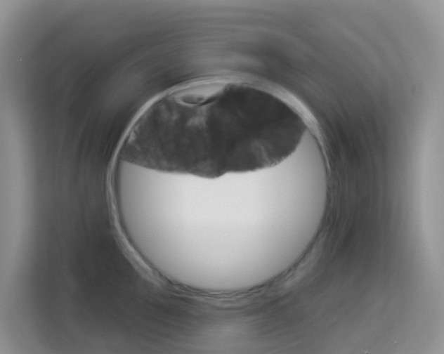 X0000114210907200910091026