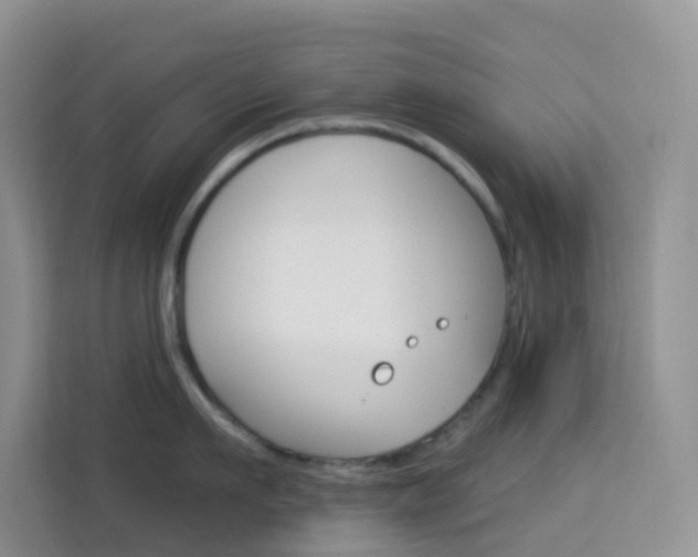 X0000114210911200910091026