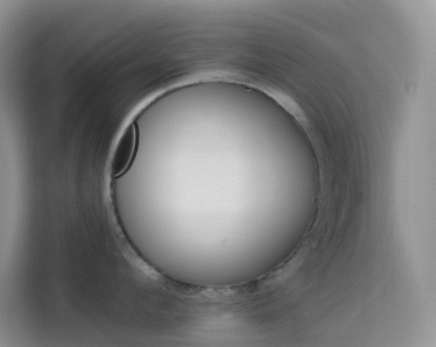 X0000114210912200910091026