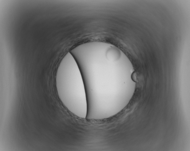 X0000114210913200910091025