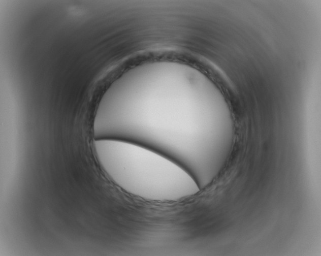 X0000114210919200910091025