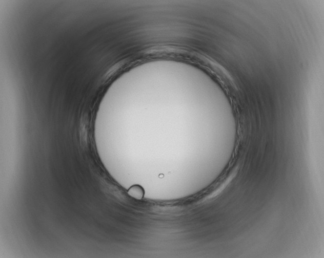 X0000114210921200910091026