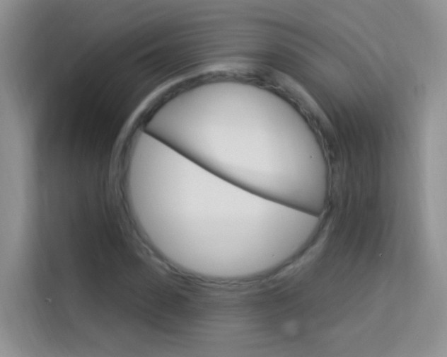 X0000114210923200910091026