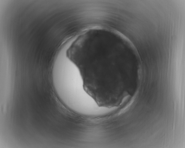 X0000114210929200910091026