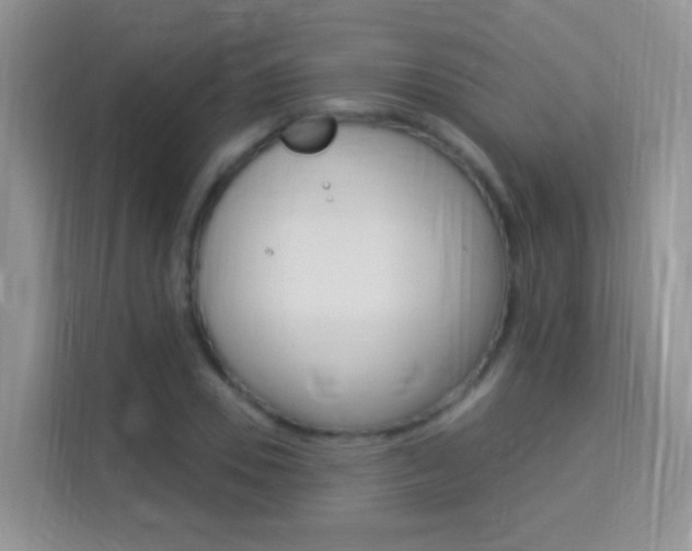 X0000114210930200910091026