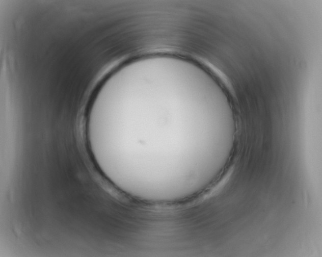 X0000114210933200910091026