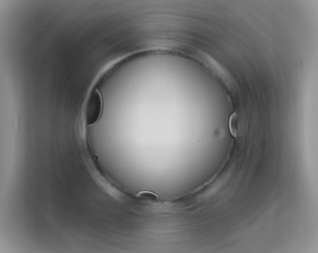 X0000114210940200910091026