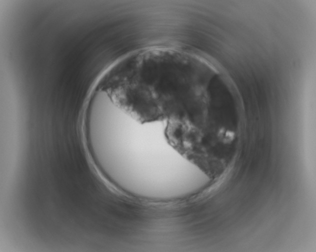 X0000114210941200910091026