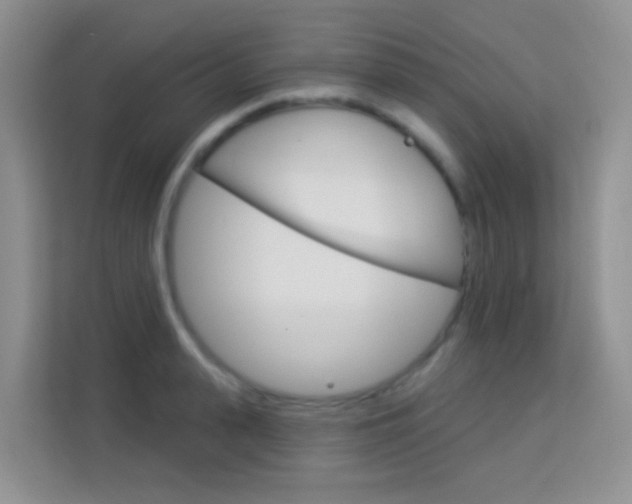 X0000114210943200910091026