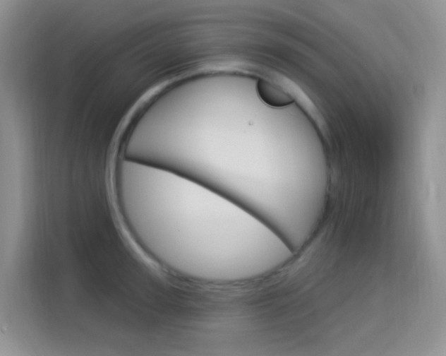 X0000114210947200910091026