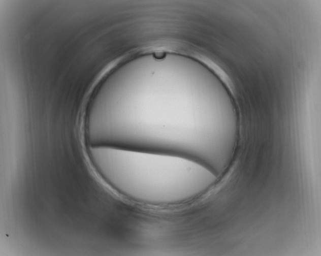 X0000114210949200910091026