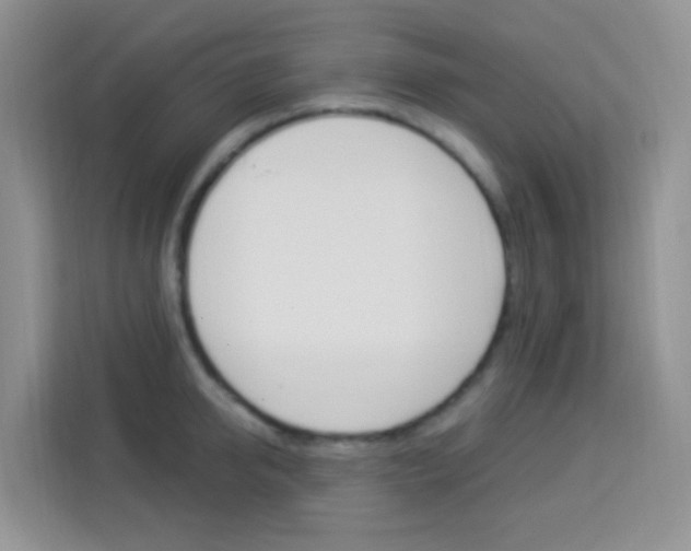 X0000114210950200910091026