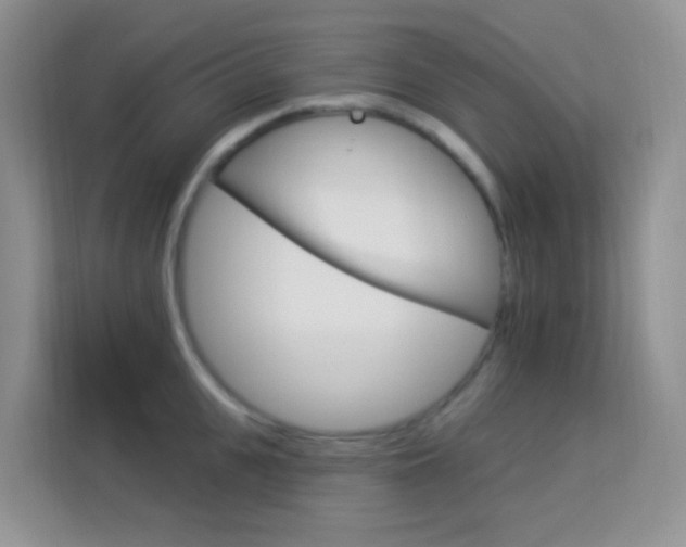 X0000114210951200910091026