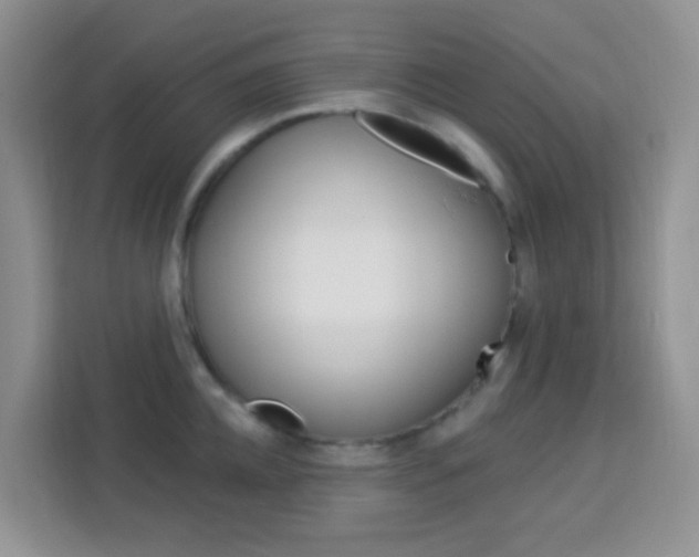 X0000114210952200910091026