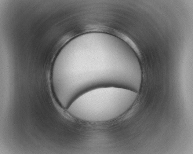 X0000114210954200910091026