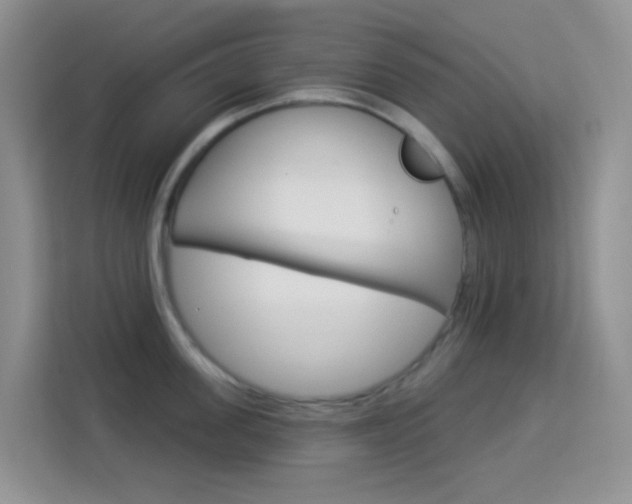 X0000114210955200910091026