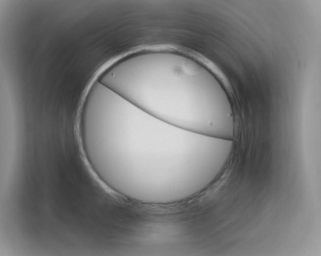 X0000114210959200910091026