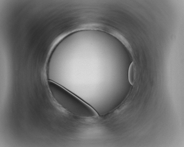 X0000114210960200910091026
