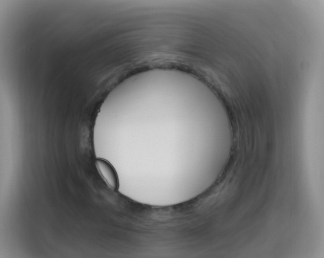 X0000114210964200910091025
