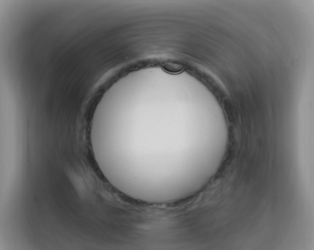 X0000114210968200910091025