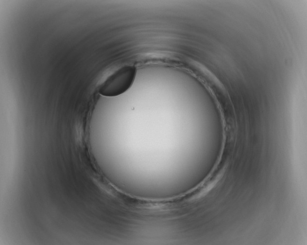 X0000114210969200910091025