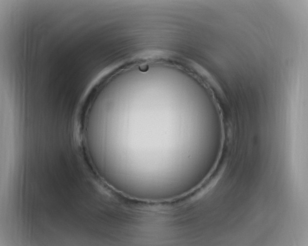 X0000114210973200910091025