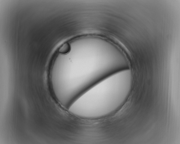 X0000114210975200910091025